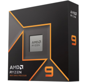 AMD Ryzen 9 9900X