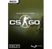 Counter-Strike : Global Offensive