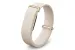 Google Fitbit Air